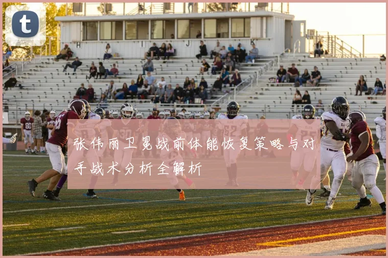 张伟丽卫冕战前体能恢复策略与对手战术分析全解析