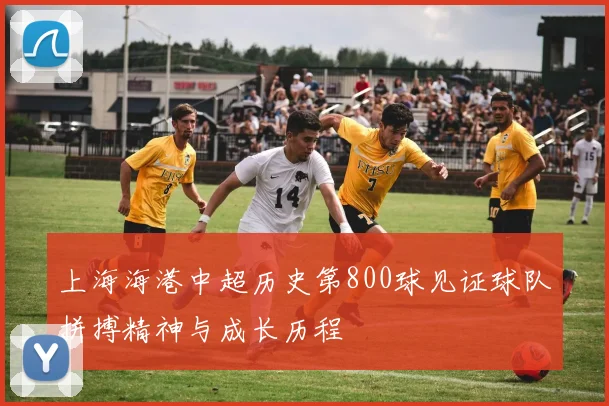 上海海港中超历史第800球见证球队拼搏精神与成长历程
